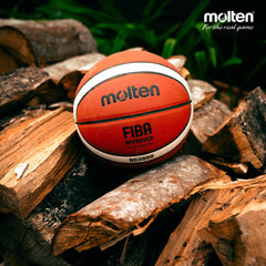 Molten BG3800 Series, Indoor/Outdoor Basketball,Size 7,6 2- Tone Design, Model: BG3800 Basketball